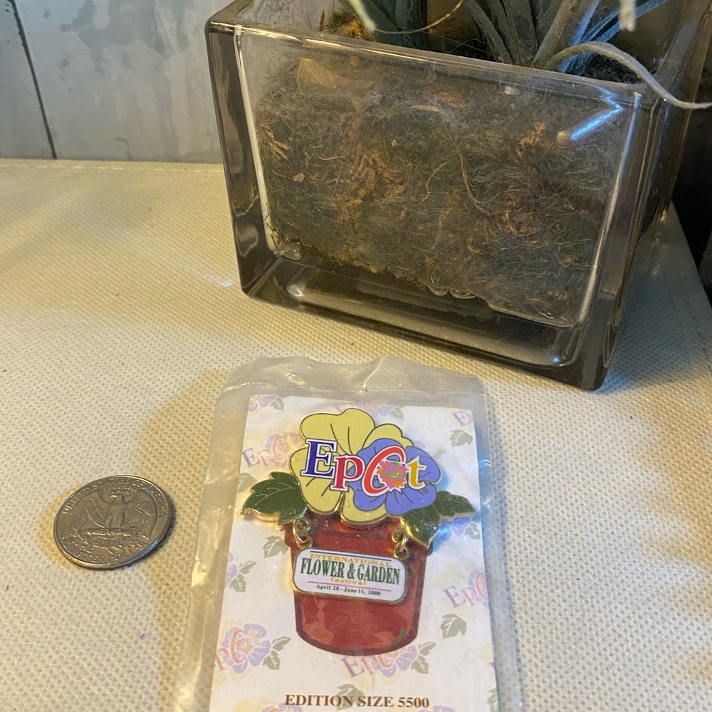 Disney Epcot Flower & Garden Pin